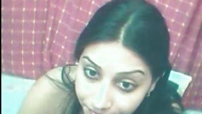 முற்றத்தில் சூடான நீல படம் தனியா