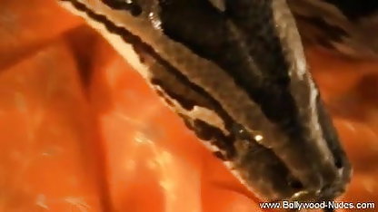ஆசிய மாணவர் திகில் செக்ஸ் வீடியோக்கள் கசப்புடன்