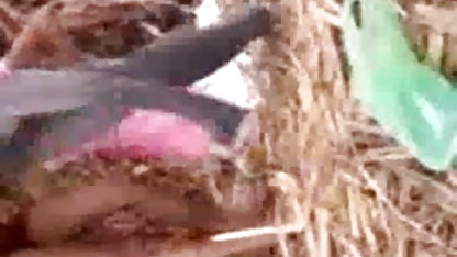 அனைத்து ஜப்பானிய ஆர்வமும் விரைவில் ராக்கி ஆபாச