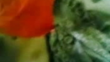 விளையாட்டு லெஸ்பியன் சன்னி லியோனின் செக்ஸ் வீடியோ படம் அன்பின் ஒரு மாலை
